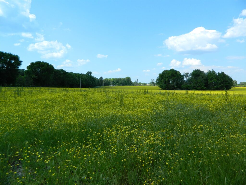 Moore Family Century Farm