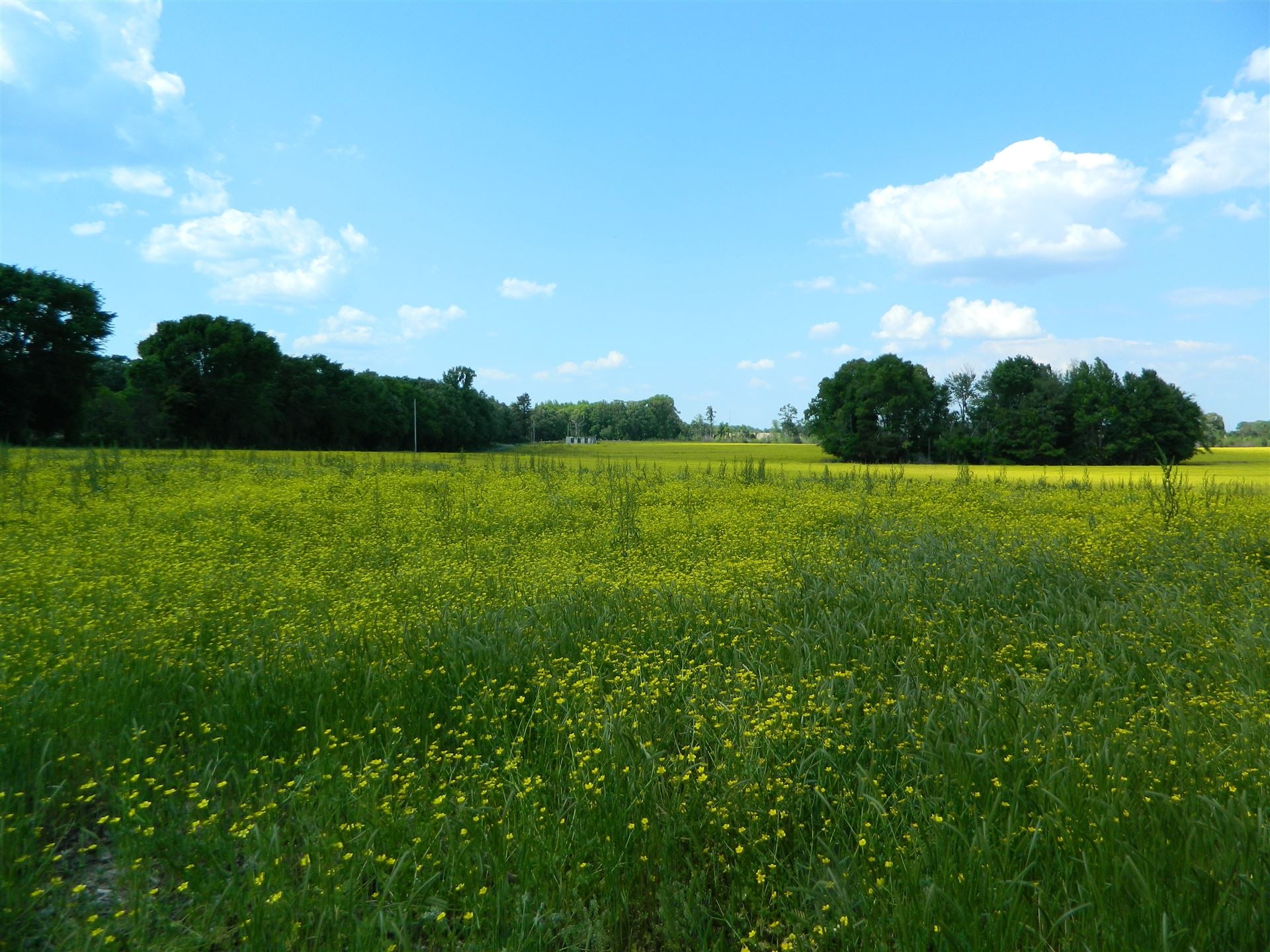 Moore Family Century Farm